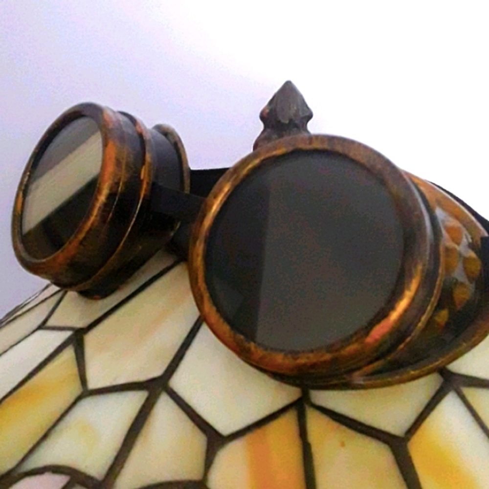 NWOT Cool Fun Steampunk Goggles